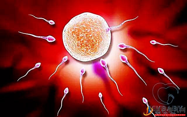 试管婴儿网:精子不动可以做试管吗？(图1)