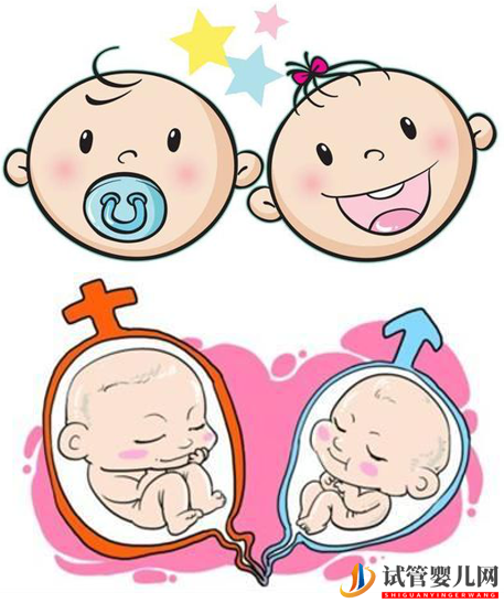 试管婴儿网:做试管婴儿想要双胞胎可以吗？(图1)