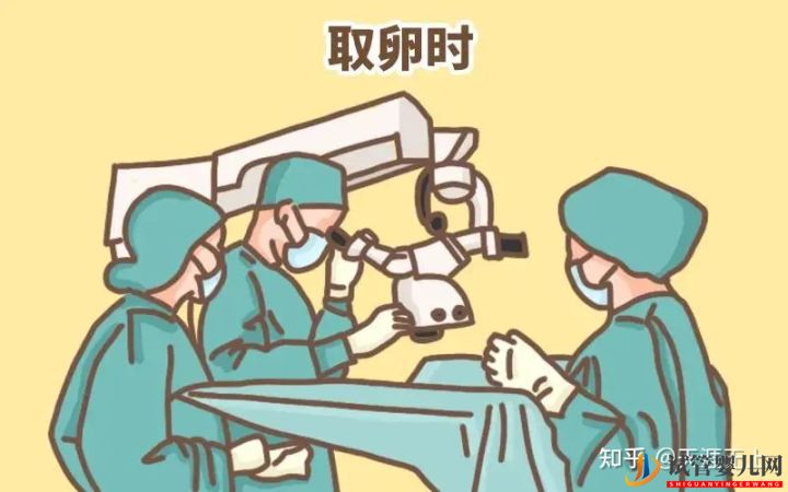 试管婴儿网:做试管按年龄收费_40岁女性做一次要多少钱(图5)