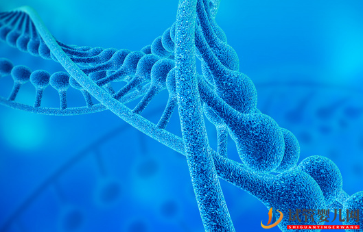 试管婴儿网:重大疾病早筛的好工具！新型DNA测试可筛查50多种遗传疾病(图1)