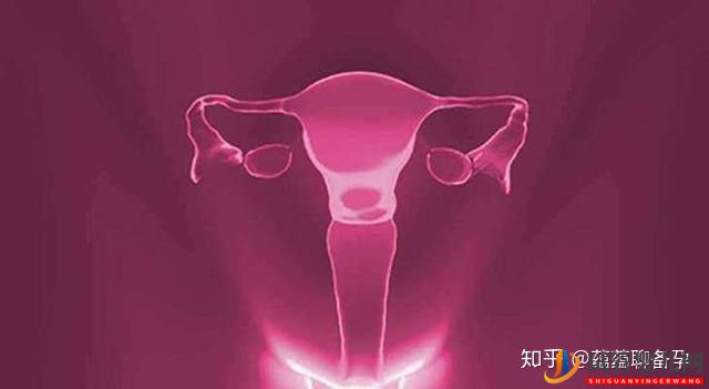 试管婴儿网:24岁的我卵巢功能下降,怀孕路上困难重重,幸而试管(图1)