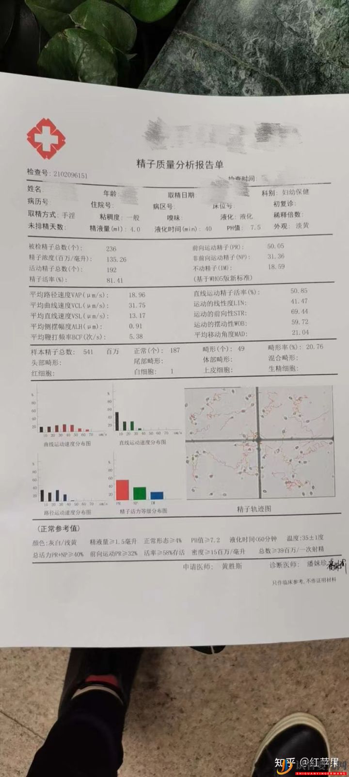 试管婴儿网:33岁三代试管婴儿一次成功,试管婴儿流程分享(图12)