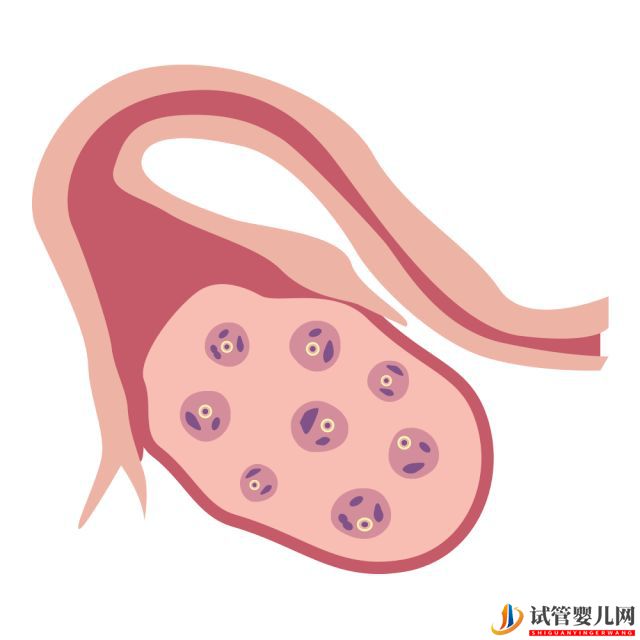 试管婴儿网:40多了,怀孕的几率还有多少_做供卵试管几率又是多(图4)