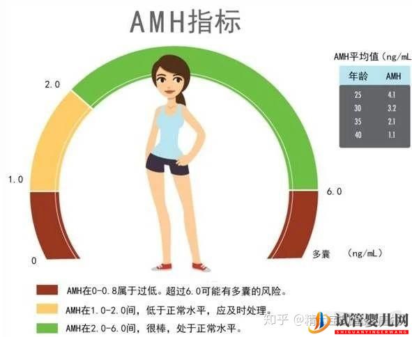 试管婴儿网:amh0.2快要绝经了,还能自然怀孕(图2)