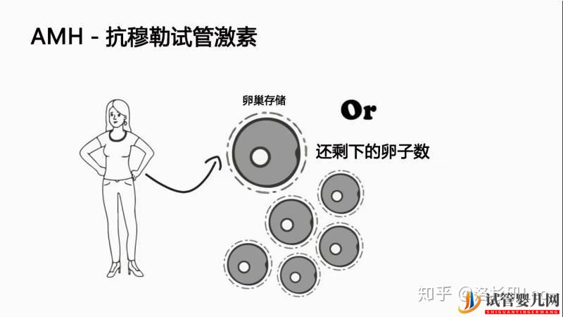 试管婴儿网:大龄做试管还有机会吗_美国试管大龄女性必须了解的(图2)