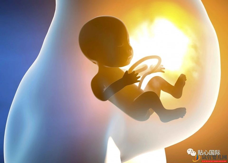 试管婴儿网:当试管婴儿遇到卵巢早衰怎么办？(图2)