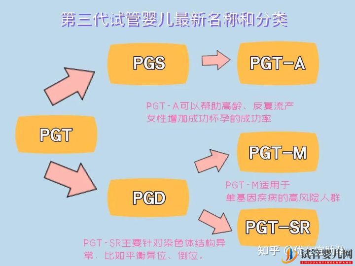 试管婴儿网:全面解析第三代试管婴儿的科普知识(图8)