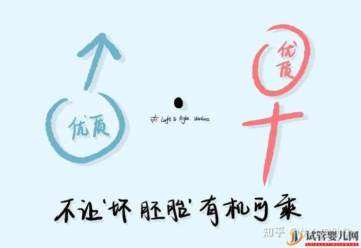 试管婴儿网:全面解析第三代试管婴儿的科普知识(图32)