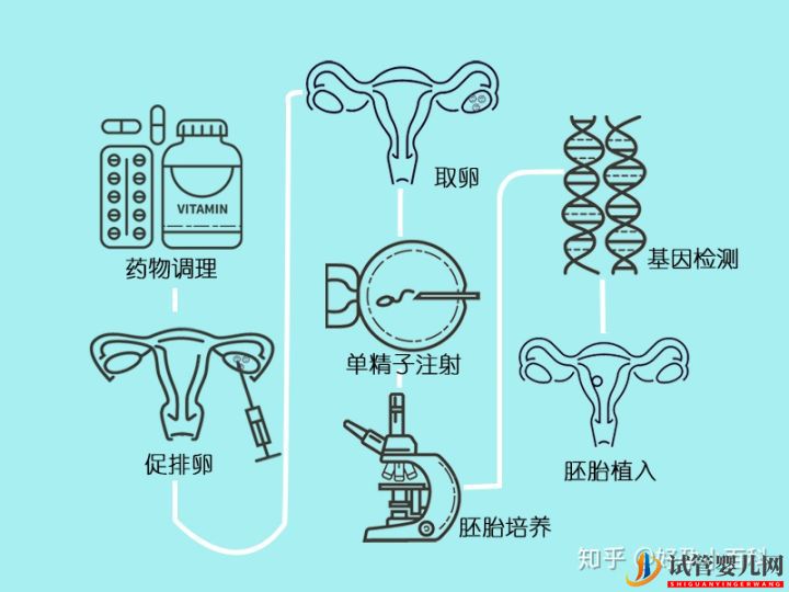 试管婴儿网:什么是三代试管婴儿第三代试管婴儿成功率高(图12)