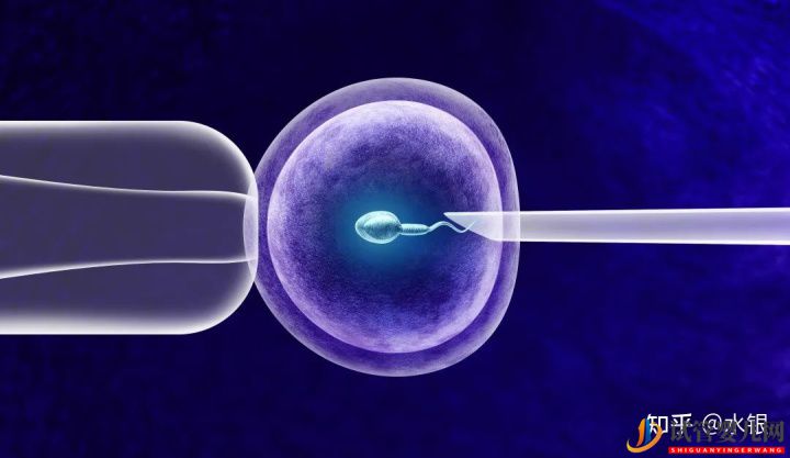 试管婴儿网:如果患有基因遗传病可不可以通过试管的方式避免(图1)