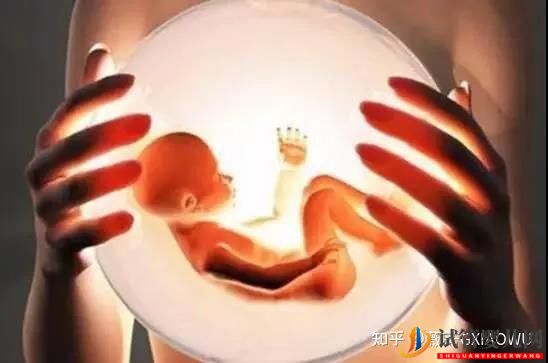 试管婴儿网:试管婴儿移植后,胚胎着床需要多久(图2)