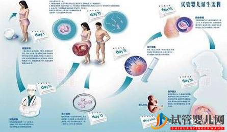 试管婴儿网:一个高龄妇女的试管之路(三次取卵两次移植的龙凤胎...(图1)