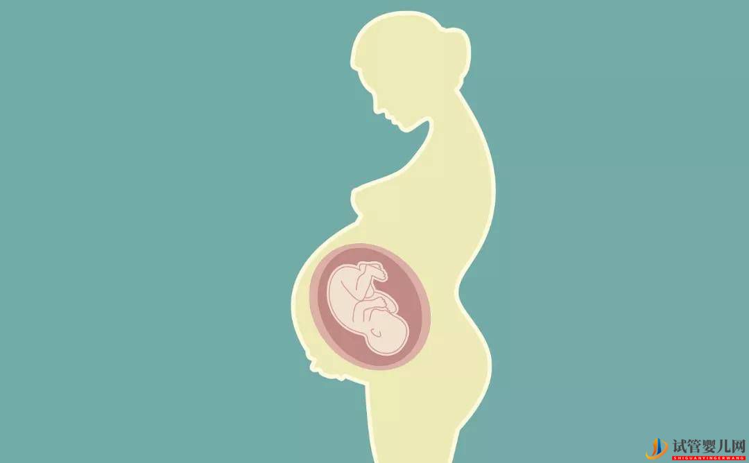 为什么在试管婴儿胚胎移植后要进行保胎？(图1)