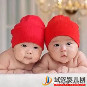 试管婴儿网:心理测试：你喜欢哪对双胞胎小孩？测你的孩子将来会有出息吗？(图3)