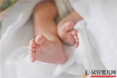 试管婴儿网:女性年龄与试管婴儿成功率的关系(图1)