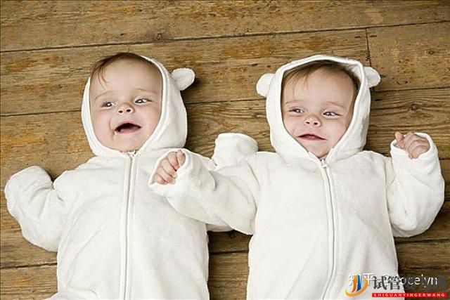 试管婴儿网:试管婴儿能确保生双胞胎吗试管双胞胎的成功率是多...(图1)