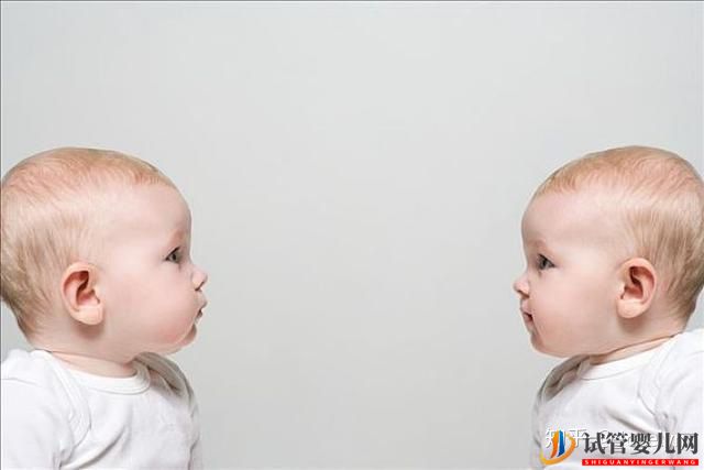 试管婴儿网:试管婴儿能确保生双胞胎吗试管双胞胎的成功率是多...(图3)
