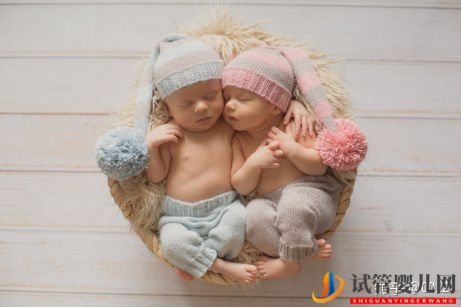 试管婴儿网:试管婴儿生双胞胎的几率有多大(图1)
