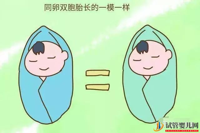试管婴儿网:试管生双胞胎后悔了通过试管婴儿生下的双胞胎长得...(图3)