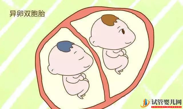 试管婴儿网:试管生双胞胎后悔了通过试管婴儿生下的双胞胎长得...(图5)