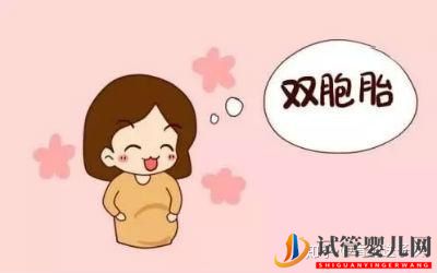 试管婴儿网:试管婴儿怀双胞胎几率高吗(图4)