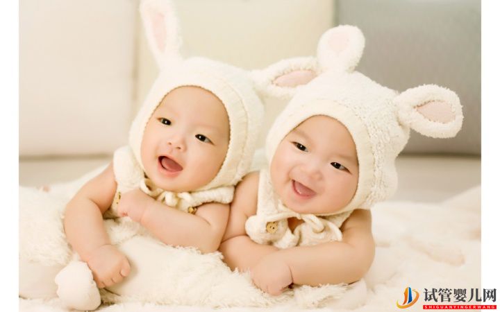 试管婴儿网:试管双胞胎的几率是高还是低(图3)