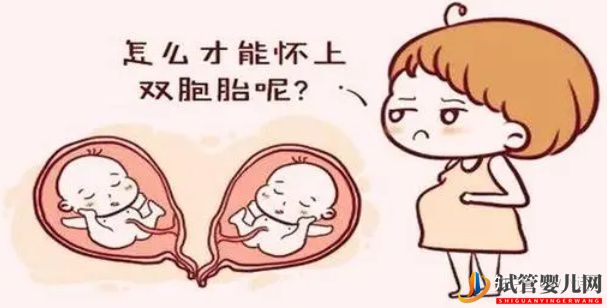 试管婴儿网:试管婴儿可以生双胞胎,成功率如何(图2)