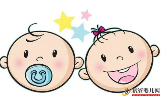 试管婴儿网:试管婴儿可以生双胞胎,成功率如何(图4)