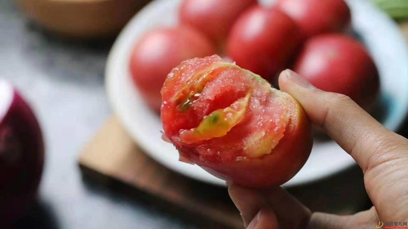 试管婴儿网:什么是草莓柿子？如何区分与普通西红柿的区别？(图1)