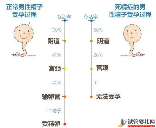 无精子症就没办法要自己的宝宝了吗(图3)