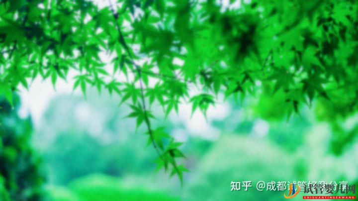 去泰国做试管怎么样费用是多少(图1)