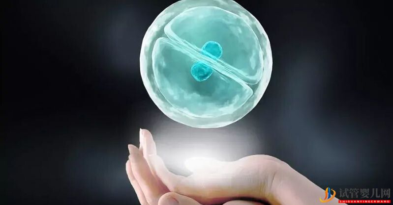 试管婴儿冻胚移植和鲜胚移植的区别三代试管为什么要冻胚(试管婴儿费用大概要多少钱)(图1)
