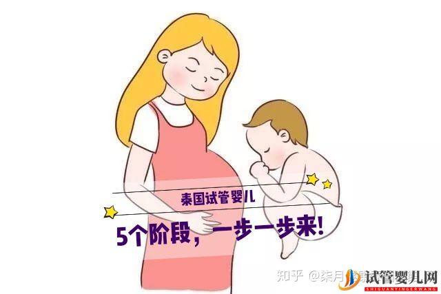 做泰国试管婴儿,5个阶段,一步一步来!(图2)