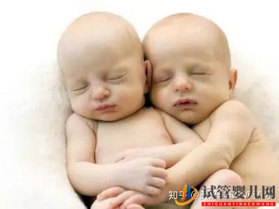 想一次圆梦双胞胎,美国试管婴儿了解一下（试管婴儿多少钱）(图5)