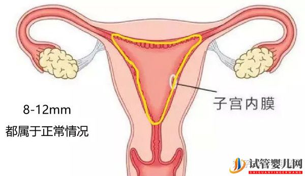 患有纵膈子宫赴美做试管能妊娠吗（试管婴儿多少钱）(图9)