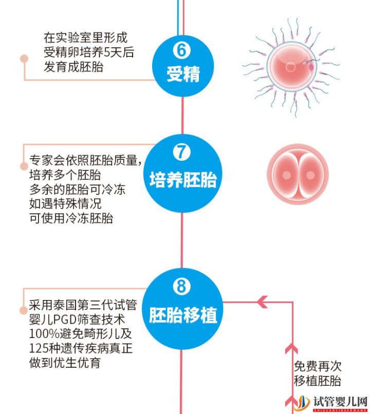 泰国试管婴儿优势性价比再高,成功率却离不开这任何...(图7)