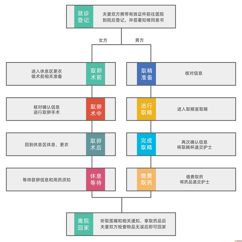 第一次取卵没经验？一张图告诉你试管婴儿取卵全流程！(试管婴儿费用大概要多少钱)(图2)