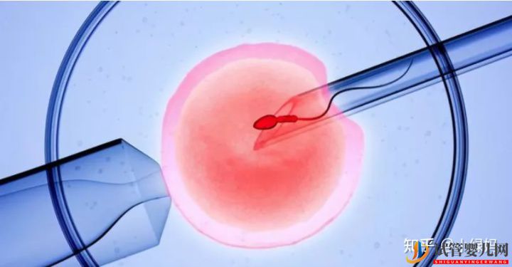 3代试管技术真的比1代2代试管好吗(试管婴儿费用大概要多少钱)(图11)