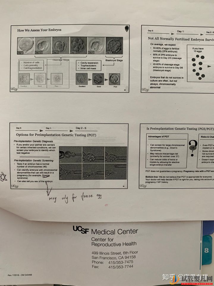 我在美国做试管婴儿的经历（试管婴儿多少钱）(图3)