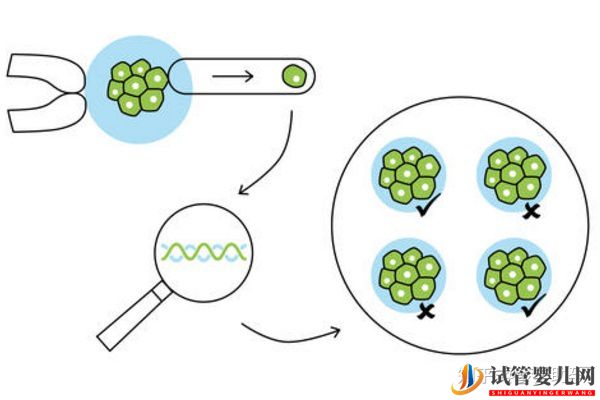 美国试管婴儿专家如何避免胎停育的发生（试管婴儿多少钱）(图3)
