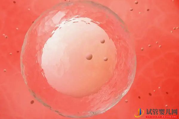 新鲜胚胎着床时间因人而异
