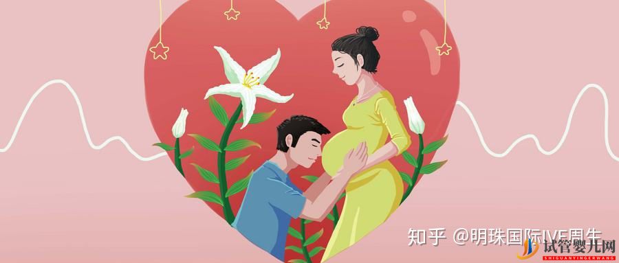 全方位试管婴儿流程详细介绍(试管婴儿费用大概要多少钱)(图4)