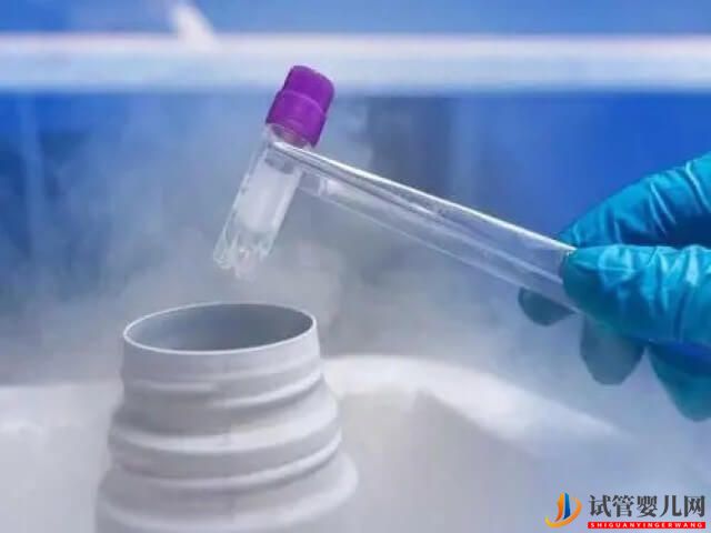 试管胚胎在-196℃氮液中冻不坏原因