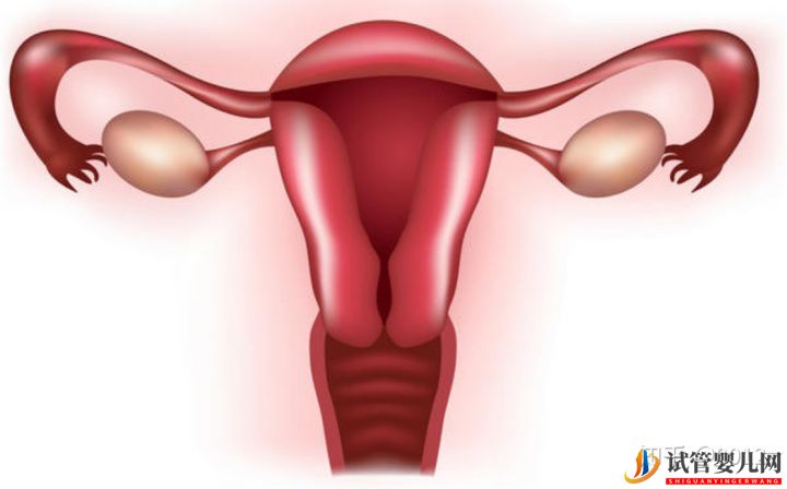 卵巢早衰做试管婴儿的成功率有多大(多囊卵巢能怀上孩子吗)(图1)