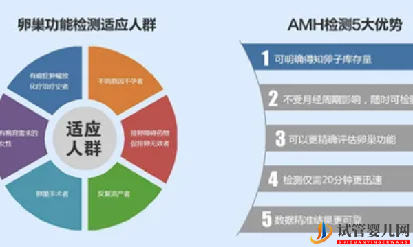 amh是看卵巢储备功能的