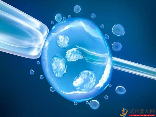 试管婴儿取卵标准中卵泡最小直径15mm