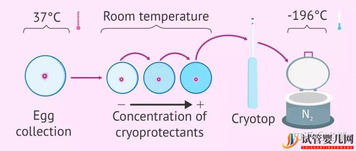 冻胚进周期全流程子宫内膜厚度多少正常(图1)