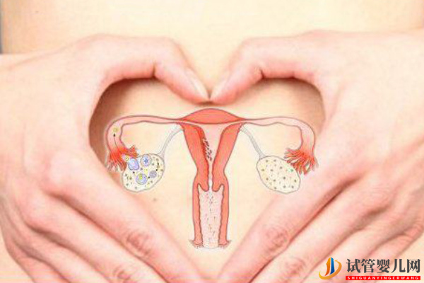 卵巢早衰做试管可以怀孕