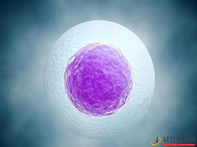 试管鲜胚移植后出现宫外孕的几率