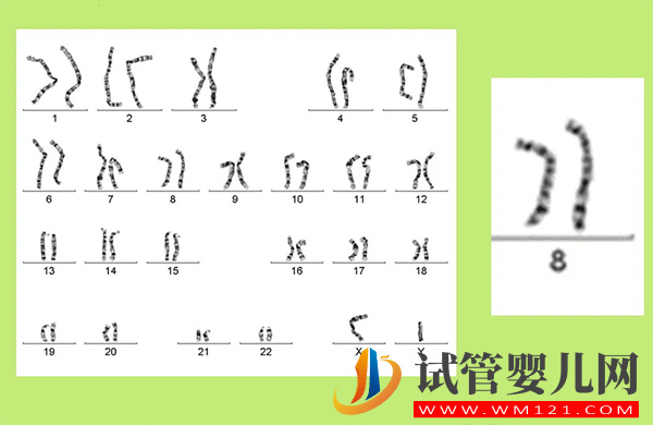 8号染色体